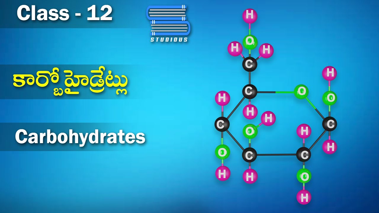 కార్బోహైడ్రేట్లు  – Carbohydrates | Biochemistry | Chemistry Telugu | Class 12 | Inter 2nd Year