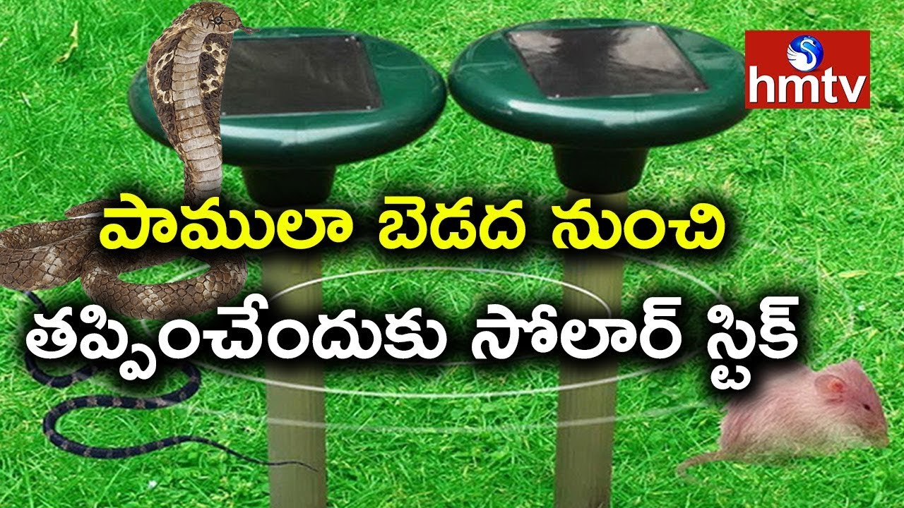 పాములా బెడద నుంచి తప్పించేందుకు సోలార్ స్టిక్  | Snake and Rodent Repellent Solar Stick | hmtv