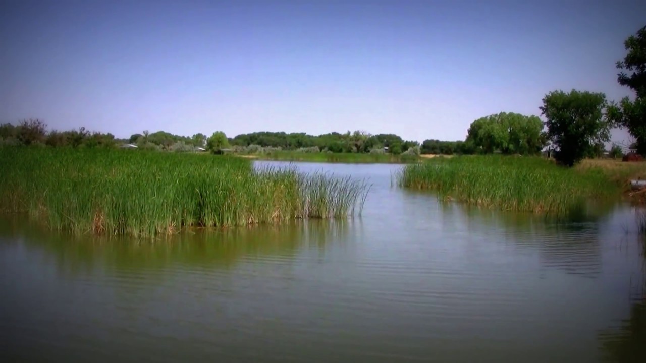 Campground Review ~  Bosque Redondo Lake, Fort Sumner, New Mexico