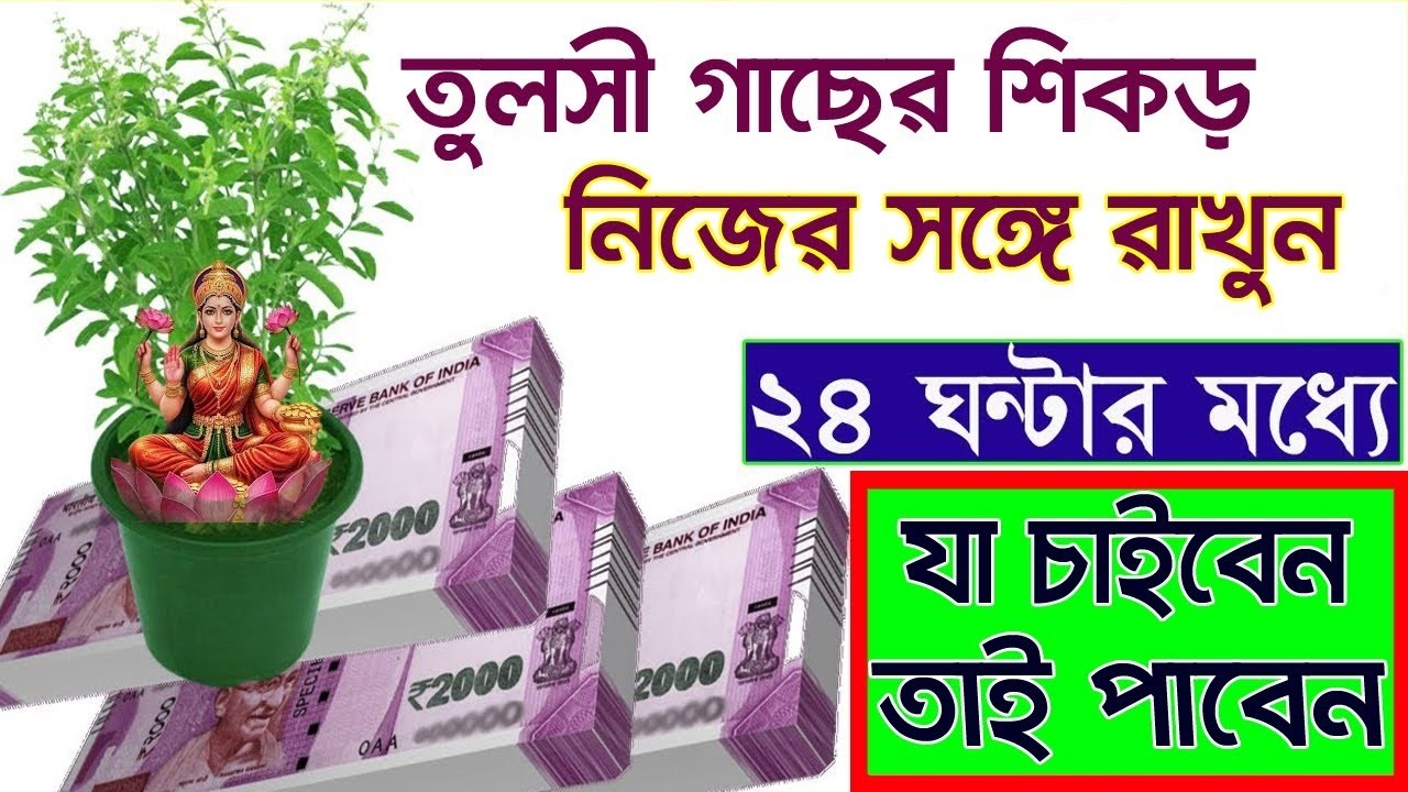 তুলসীর শিকড় আপনার কাছে রাখলেই ২৪ ঘণ্টায় আপনার সমস্ত কাজ হয়ে যাবে।
