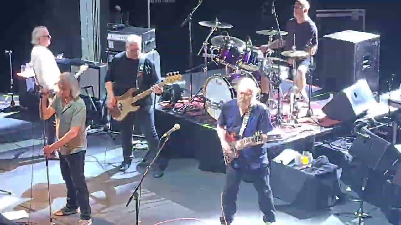 The Saints 73' - 78 live at the Enmore Theatre