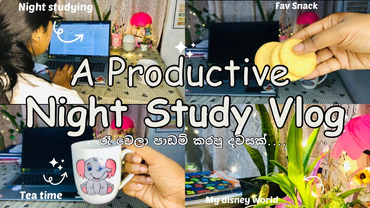 Night study Vlog 📚🌛☕️🥰| කවුරුත් නොකියන exam tips 🤫📃 | Study Tips  | Vinu vlogs #study #viral