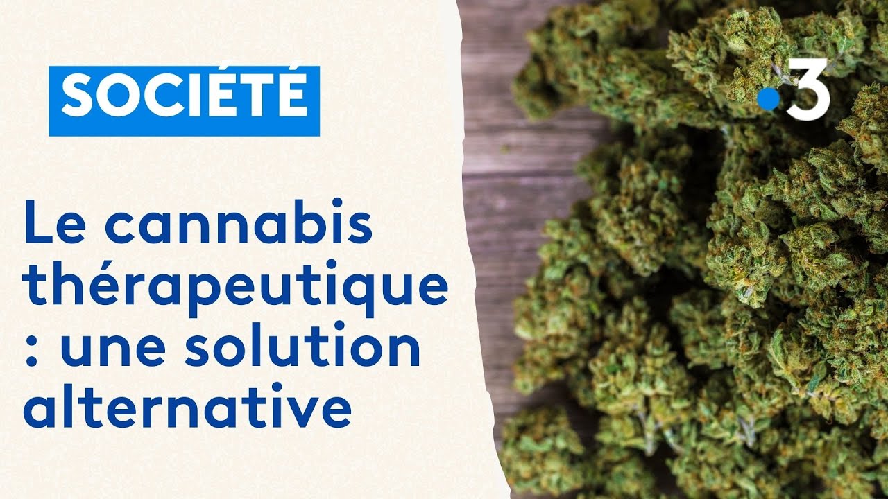 Le cannabis th&eacute;rapeutique : une solution alternative aux anti-douleurs traditionnels