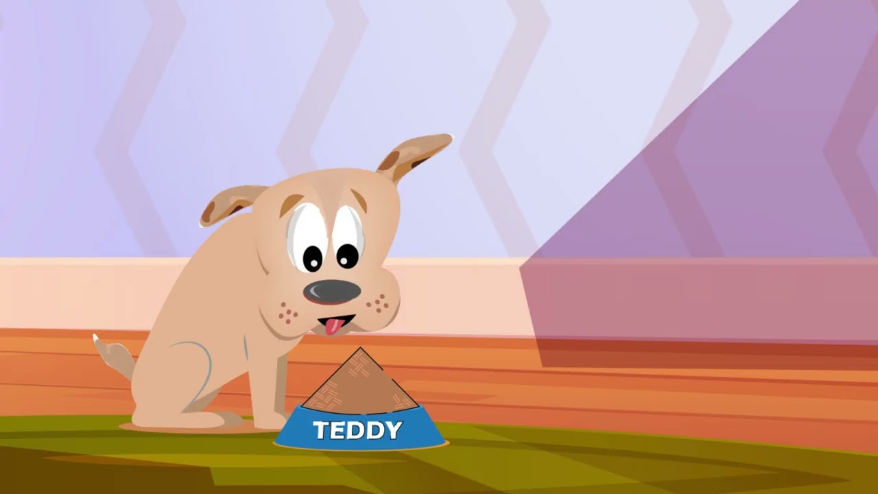 S1 Episode 1: Teddy&rsquo;s First Day at Home 🐶 | Fun Pet care Adventure with Tilly🐱