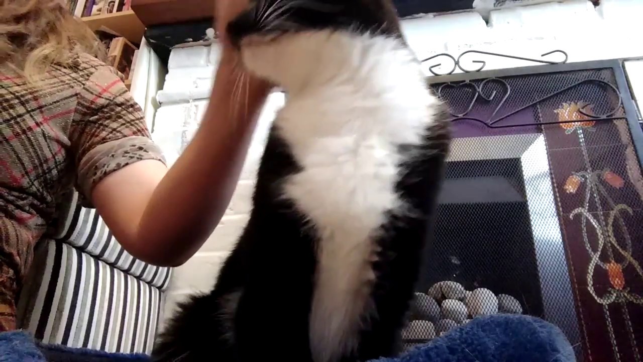 ASMR storytime! Always listen to your instincts...