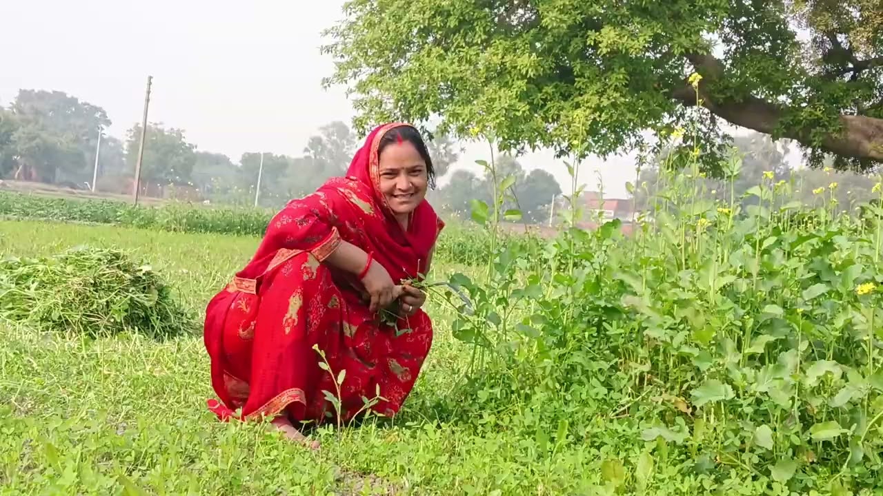 लाइकशेयर कमेंट हेलोदोस्तों ❤️👍