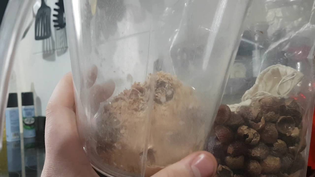 Soap nuts Vs blender how to make Indian washing nuts into a powder for natural cleaning
