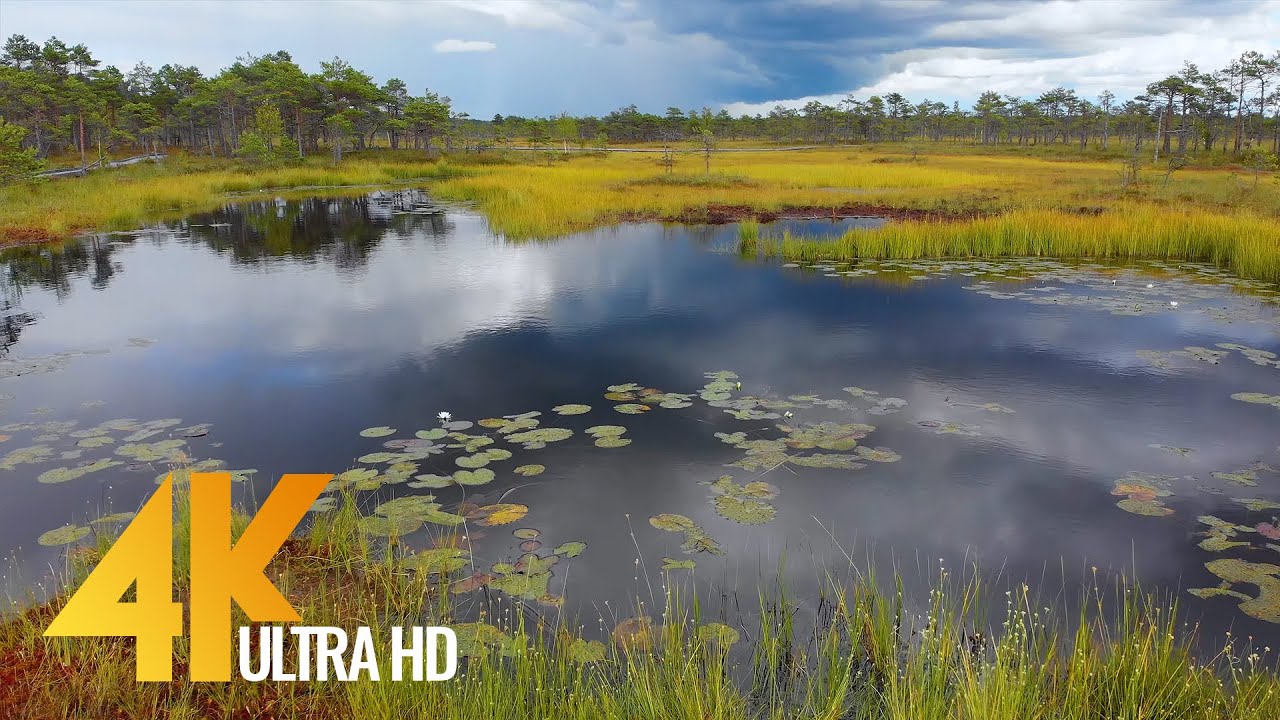 4K Aerial Footage - ESTONIAN Nature From Above - 2 HOUR Nature Relax Video + Calming Music