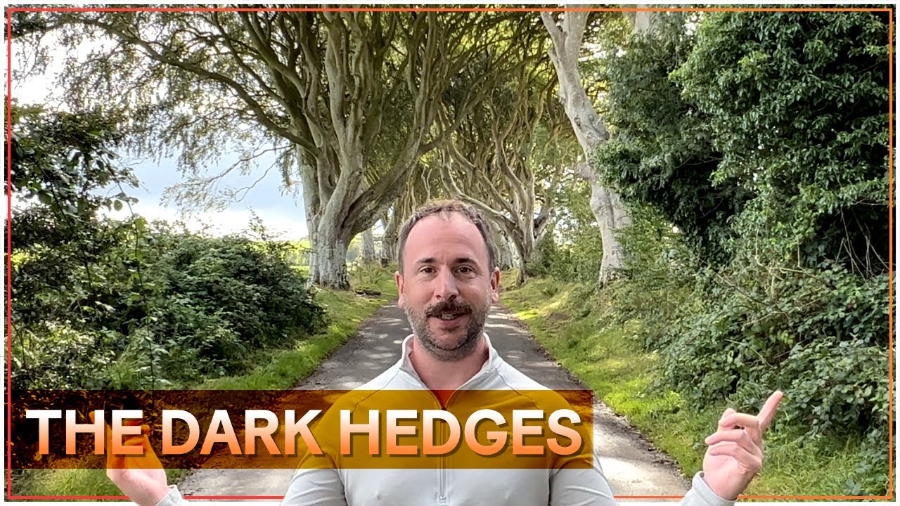 The Dark Hedges (Northern Ireland - Irlande du Nord) 🇬🇧 #darkhedges