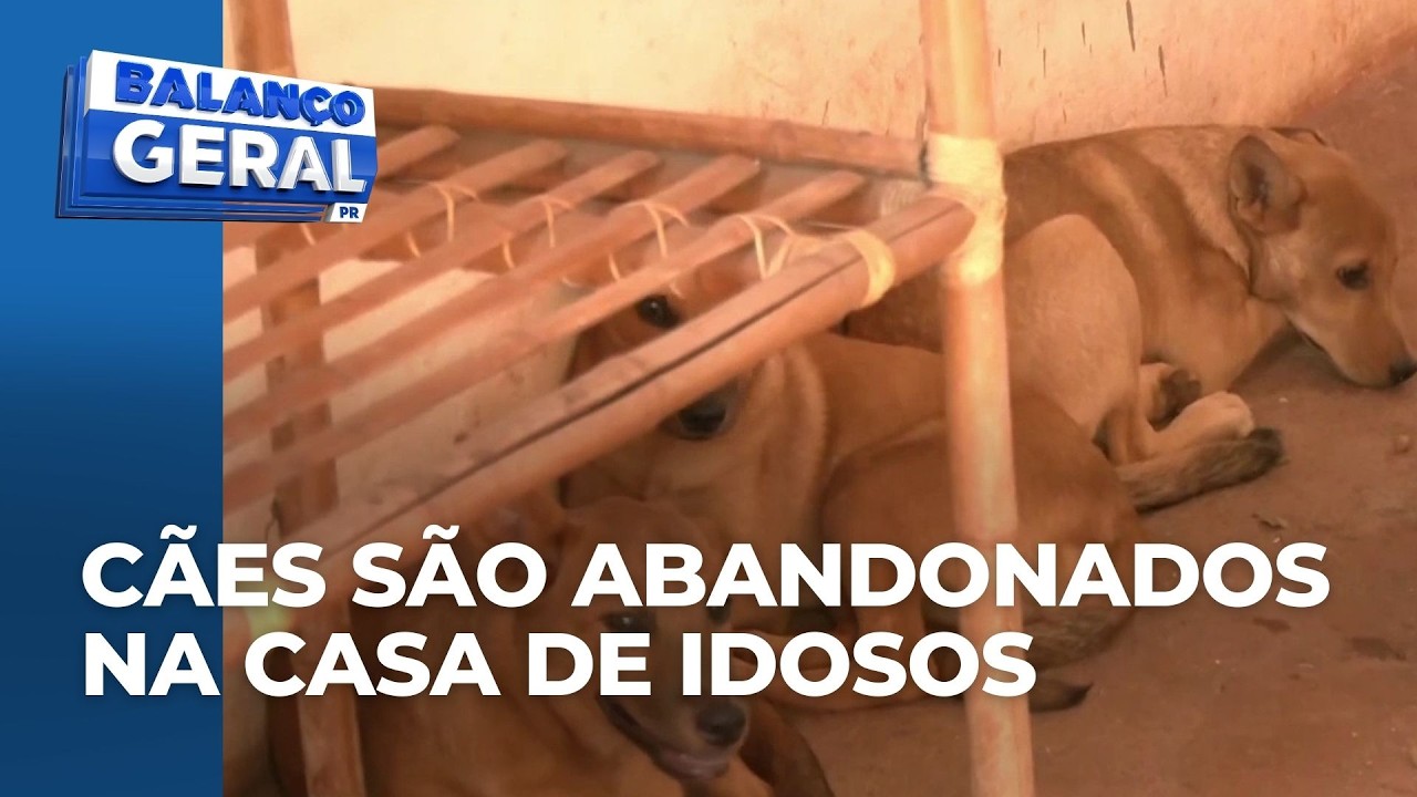 Quatro cães são abandonados na casa de um casal de idosos deficientes na Zona Norte de Londrina