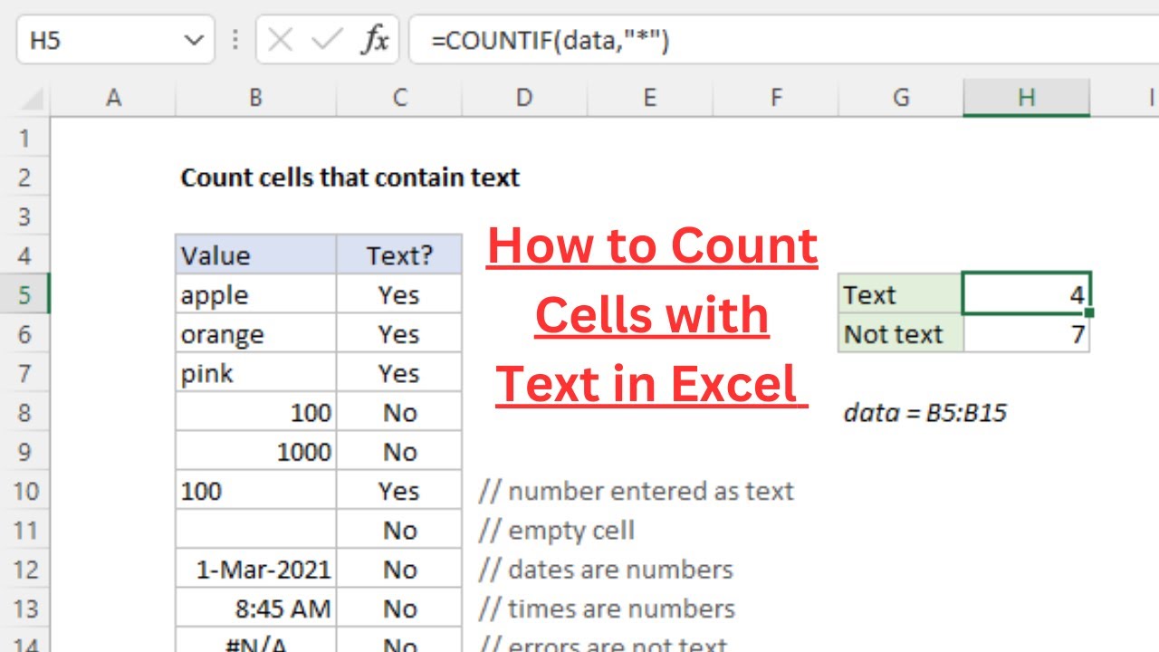 Count Cells That Only Contain Text in Excel || How to Count Cells with Text in Excel
