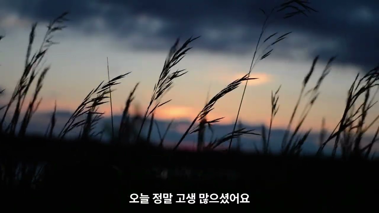 오늘 하루도 수고한 당신에게~