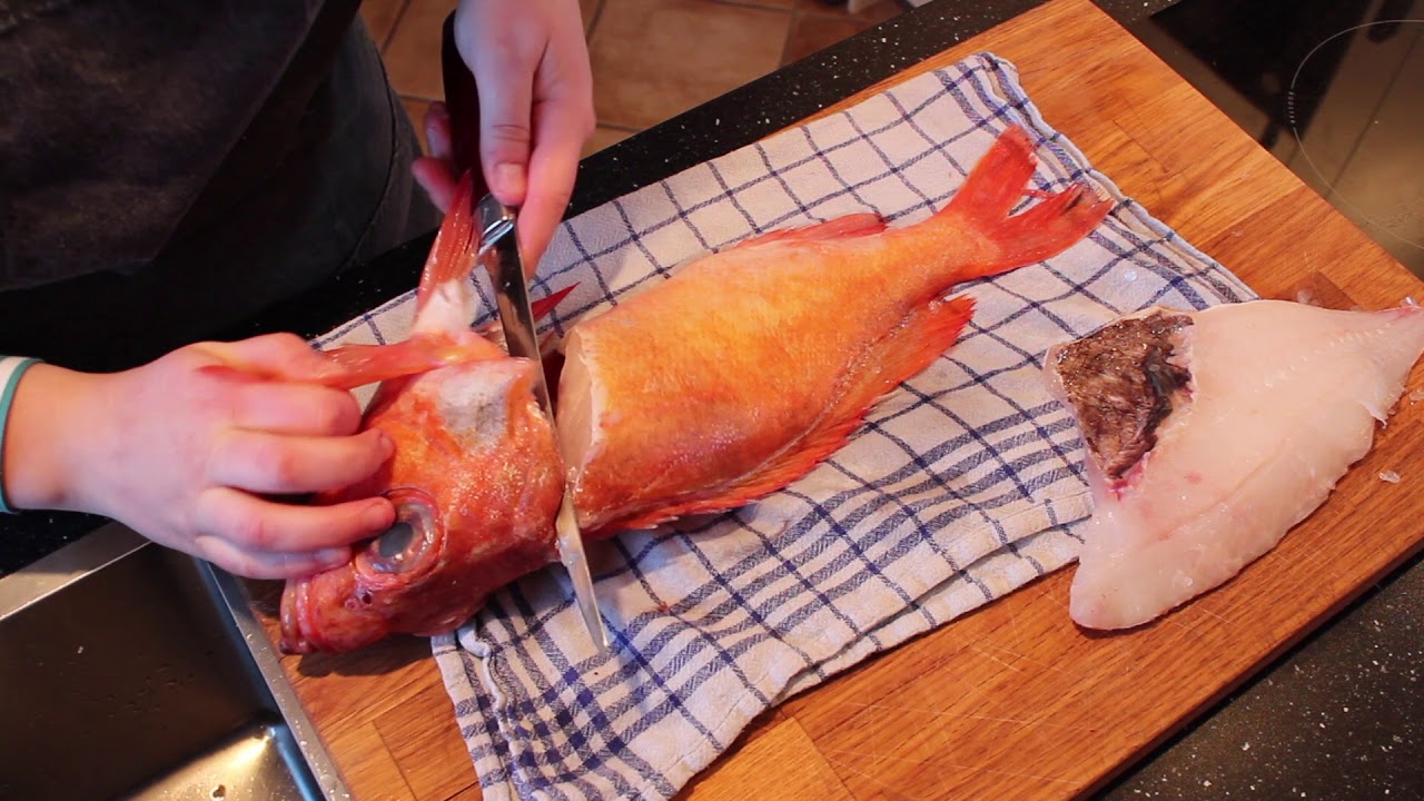 Filetere hvit fisk- uer