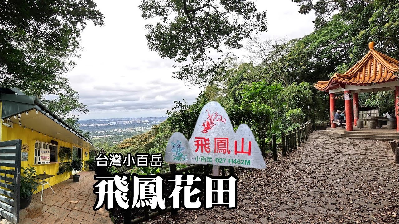 夫妻爬山，各自努力！登頂小百岳飛鳳山兩次！鳳凰不于飛，單飛也不錯！