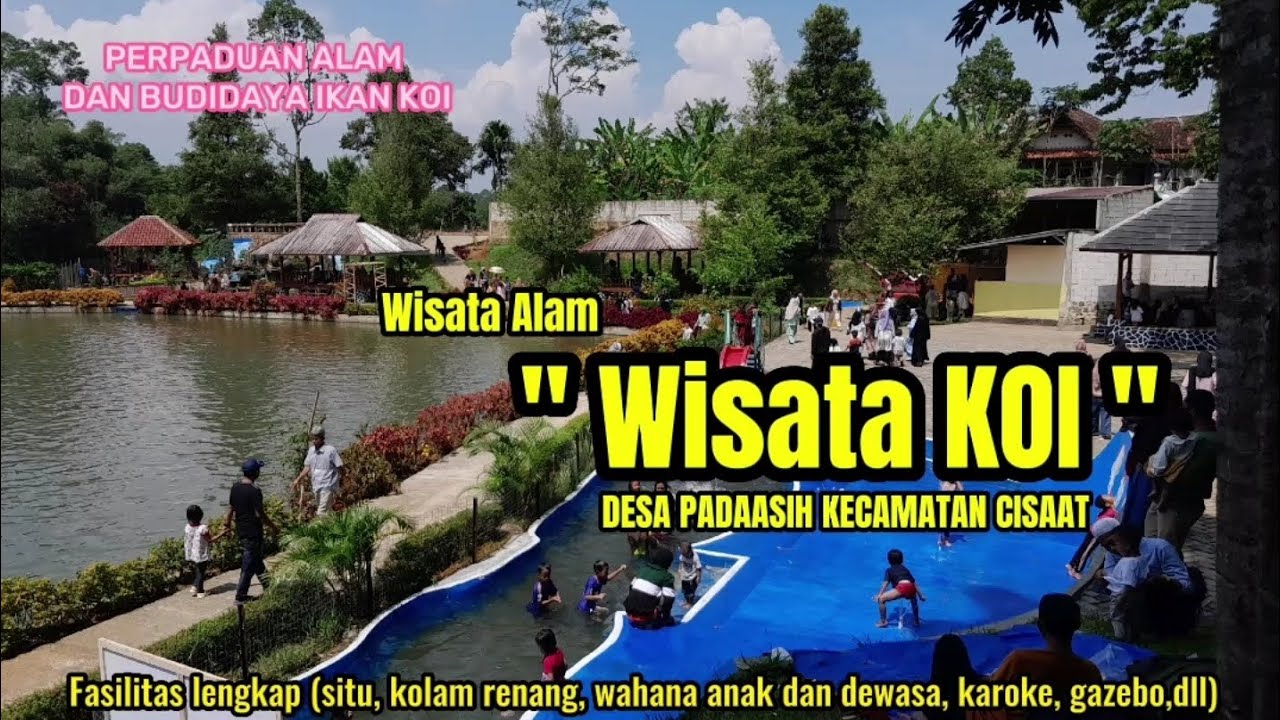 SITU KOI | Wisata terbaru dan terviral di Sukabumi | surganya pecinta ikan koi | Kolam raksasa