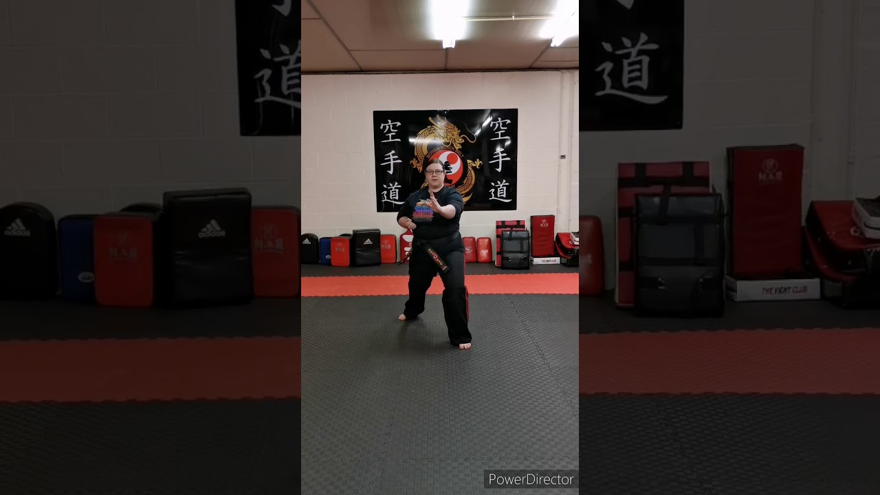 Sankukai Karate Combinations 1-10