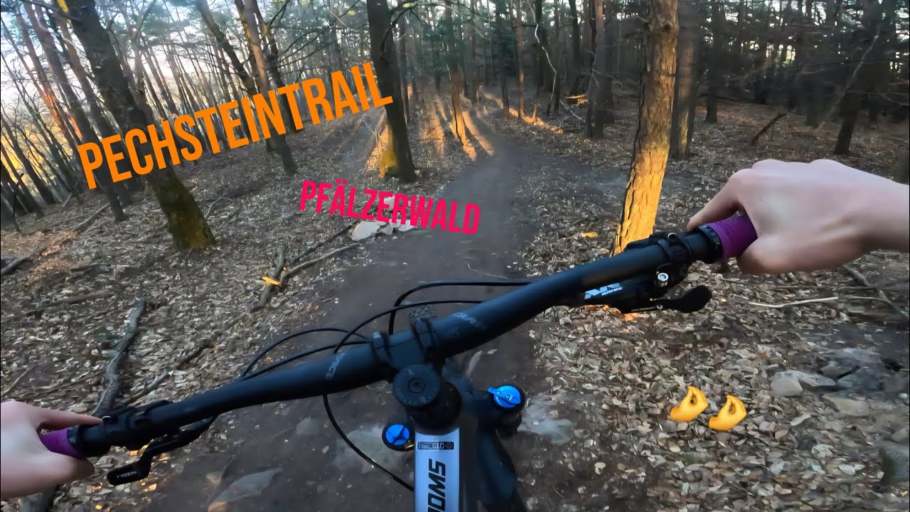Pechsteintrail POV - Pfälzerwald 🔥☀️ | legale Trails #mtb #gopro #enduro 