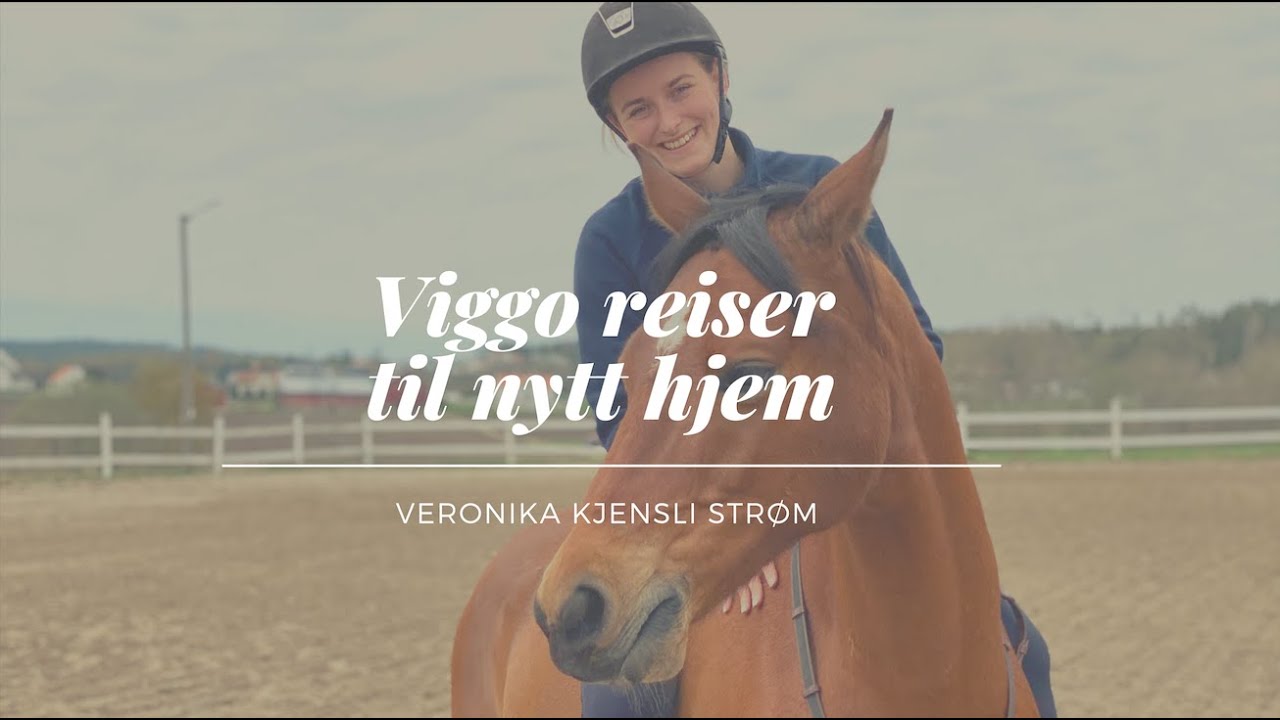 Veronika Kjensli Strøm vlog25 - Viggo reiser til sitt nye hjem