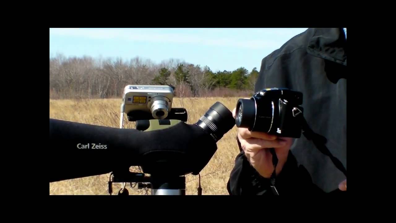 Coosing a Camera for Digiscoping