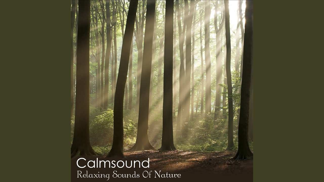 Ancient Woodland