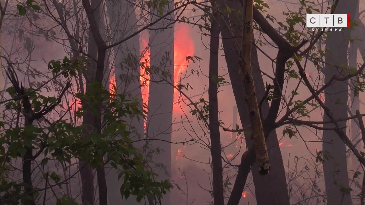 С 17 апреля на территории Оренбургской области установлен пожароопасный сезон