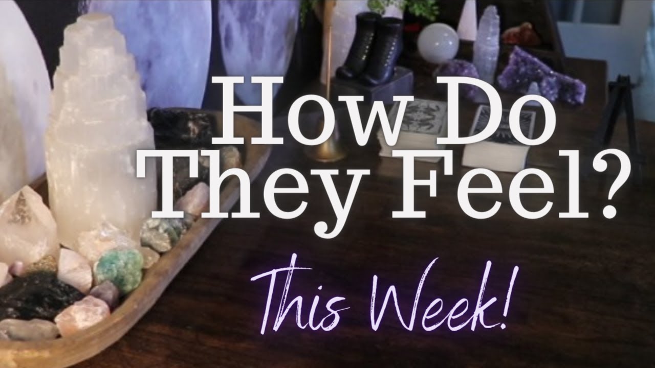 ALL SIGNS: Their FEELINGS For YOU This WEEK!