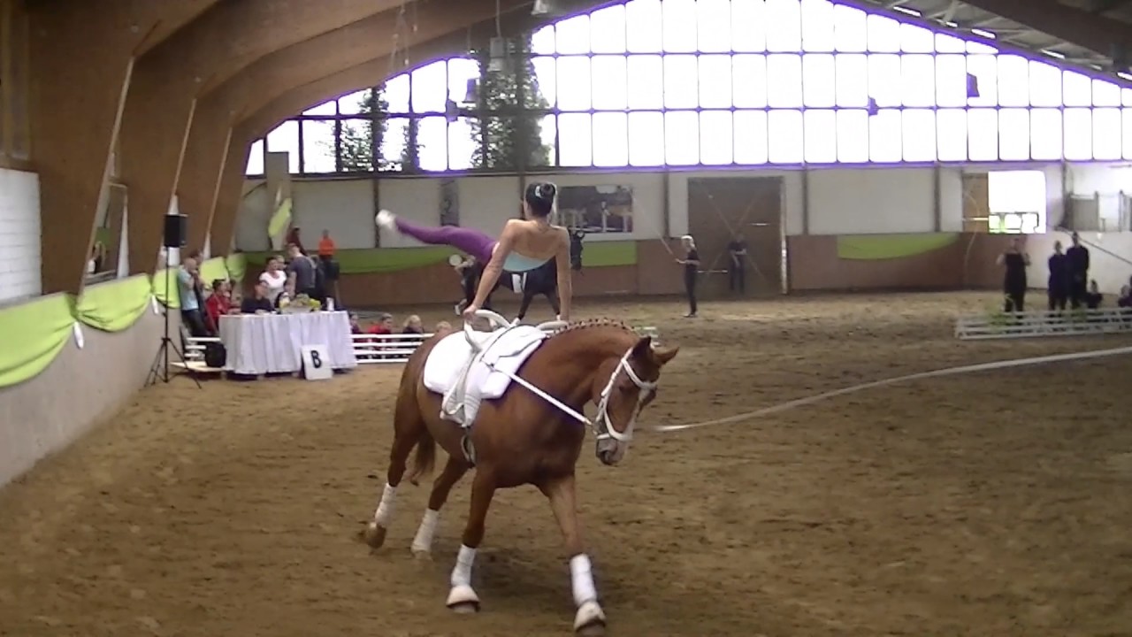 Xenia - L Einzel - Horst 2017