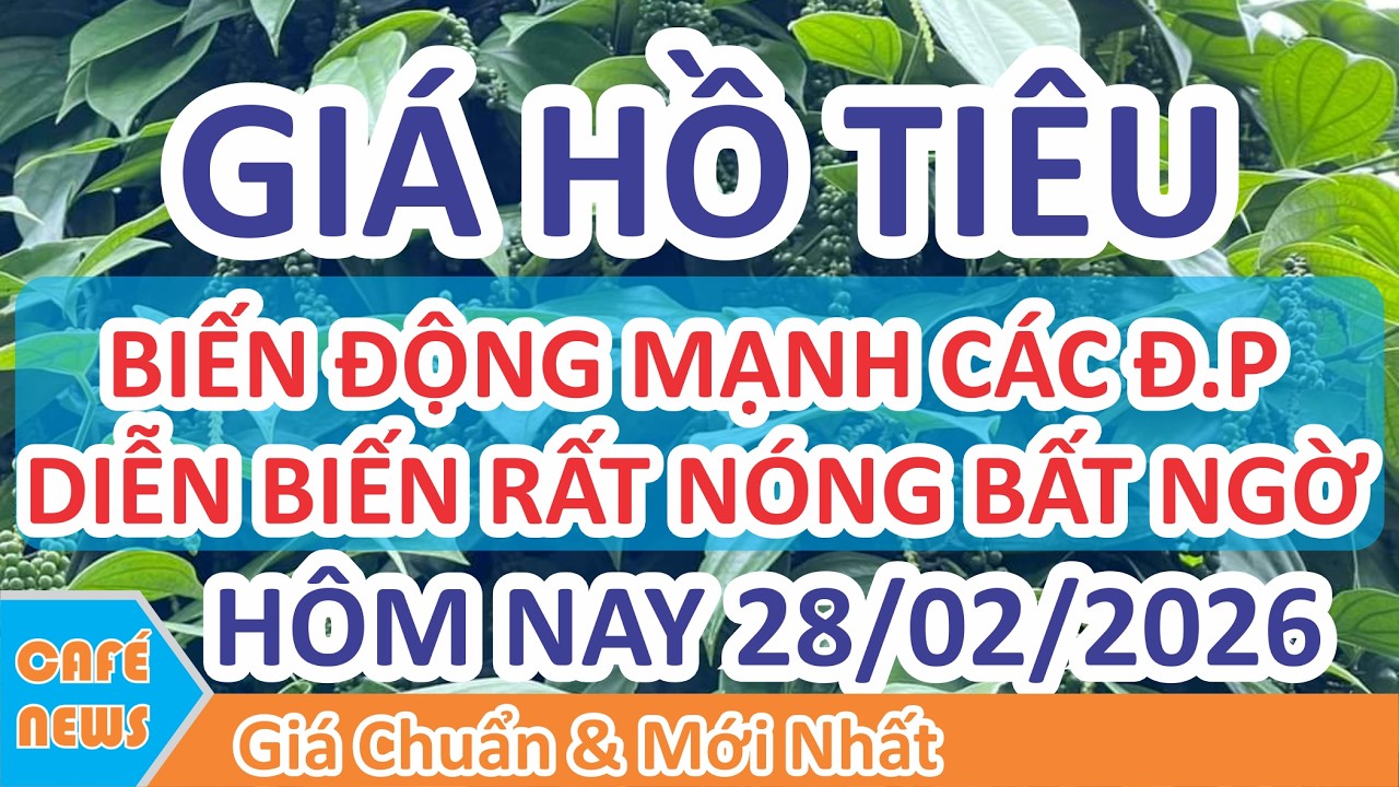 Giá hồ tiêu hôm nay ngày 28/02/2026 | Giá Tiêu Biến Động Mạnh Bất ngờ