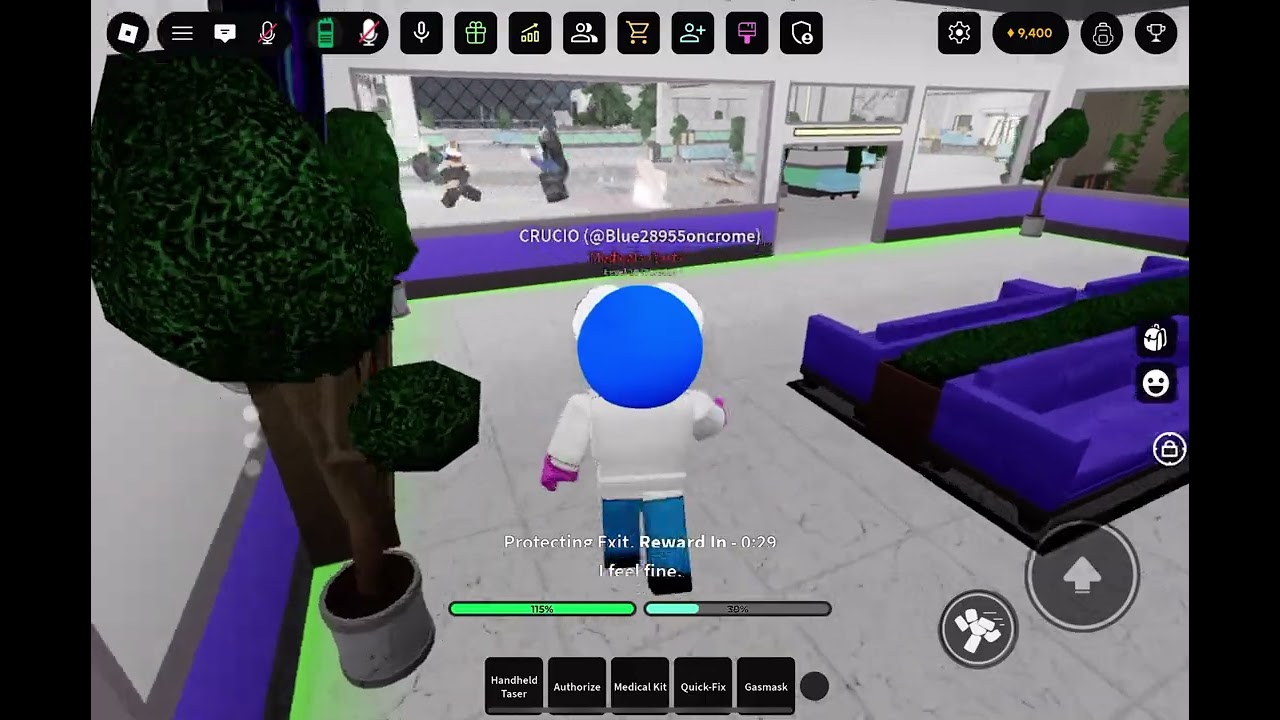 I became crazy (Roblox)