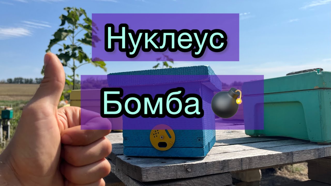 Нуклеус по відео Андрія Баскевича, рекомендую! 🔥