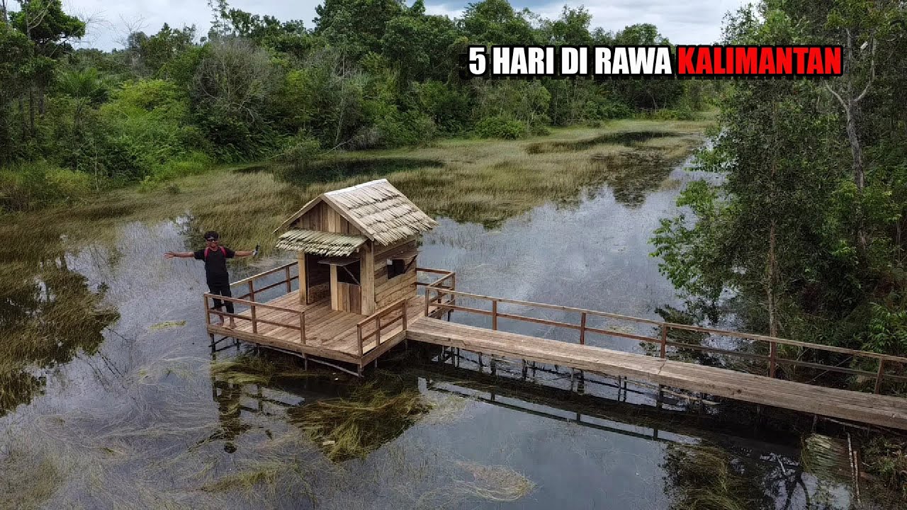 5 HARI BIKIN MARKAS BARU DI ATAS AIR RAWA, BERBURU, CARI IKAN & BUAH DI ALAM😅 