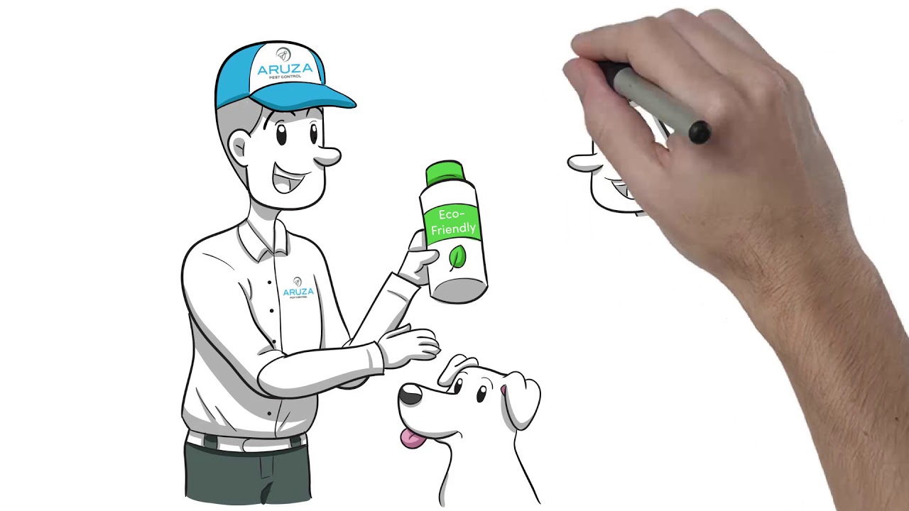 Whiteboard video for Aruza Pest Control