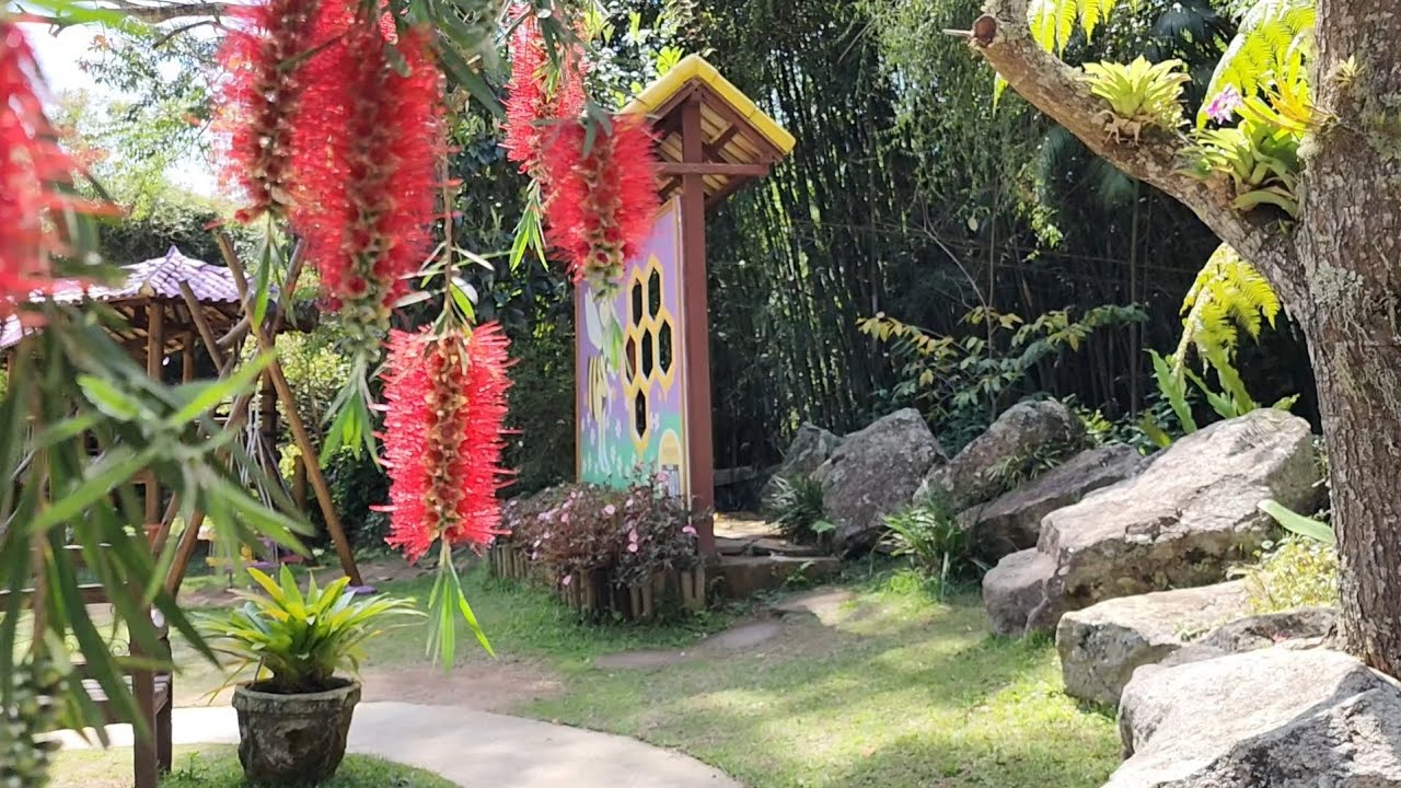 Apiário Amigos da Terra | Nova Friburgo