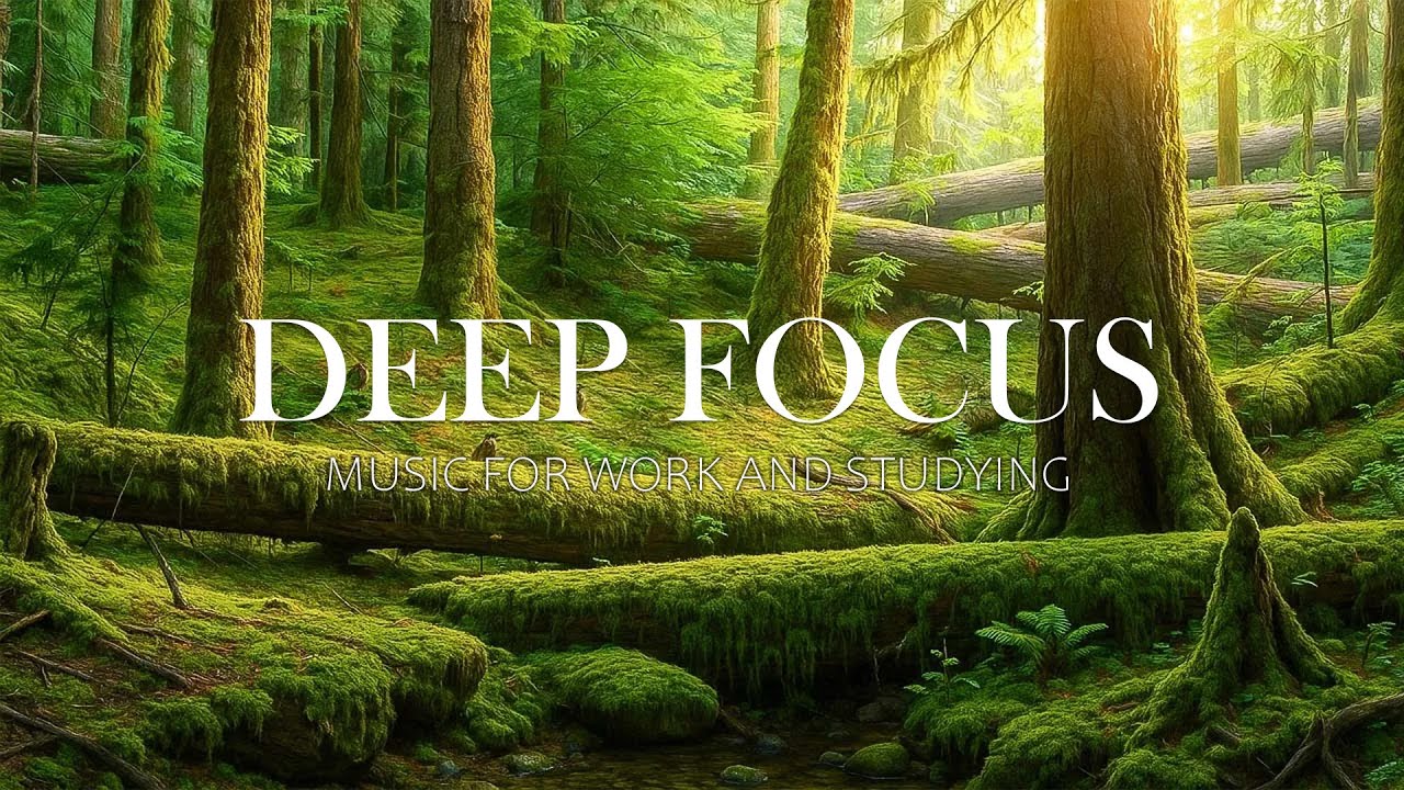 Фокусная музыка для работы и учебы — 4 часа эмбиентной учебной музыки для концентрации