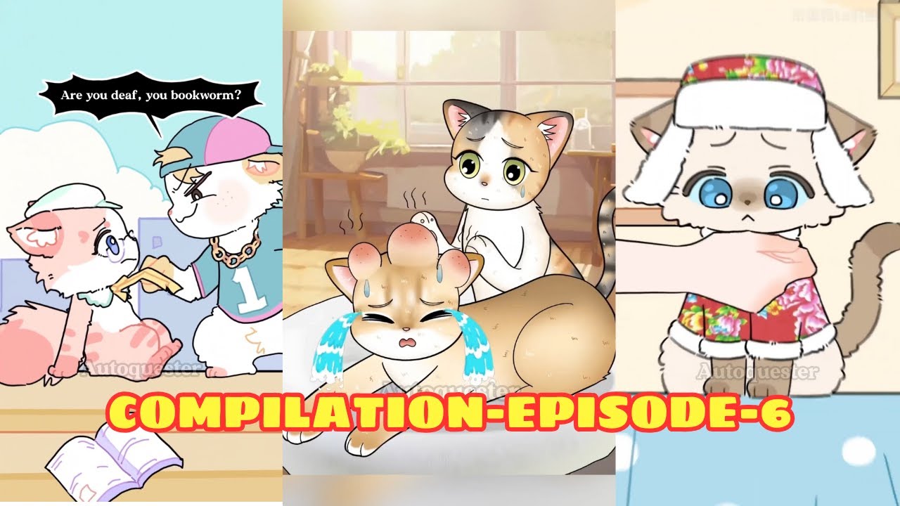 Compilation These Cats Will Melt Your Heart… and Break It Too! - Ep. 6