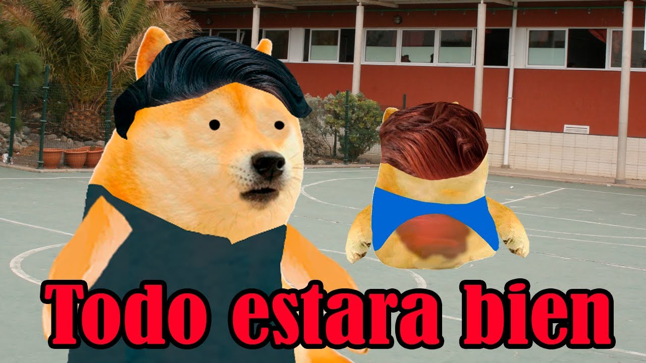 Abro hilo casi me llevan al DIF