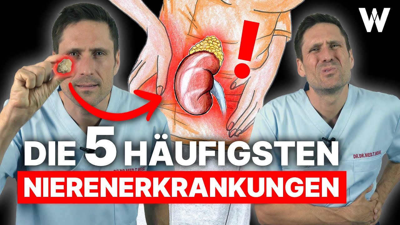 Nierenprobleme? Das sind die 5 häufigsten Nierenerkrankungen! Ursachen, Anzeichen und Therapie!