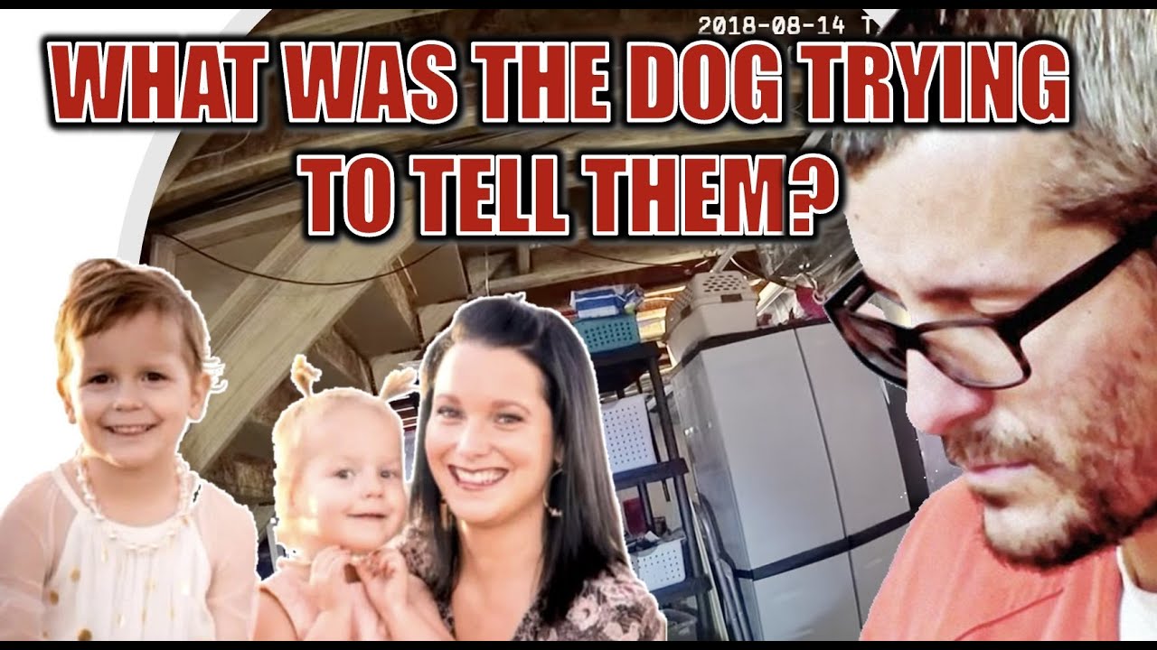 What the search dogs tell us about CeCe in Chris Watts' basement