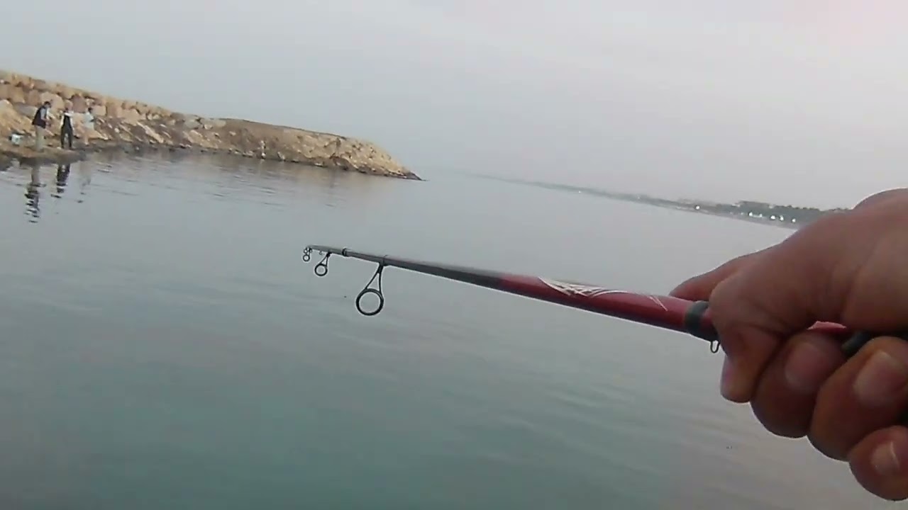 Sarı Turna Avımdan Kesitler #balıkavı #fishing #balıkçıgeldibalıkçı