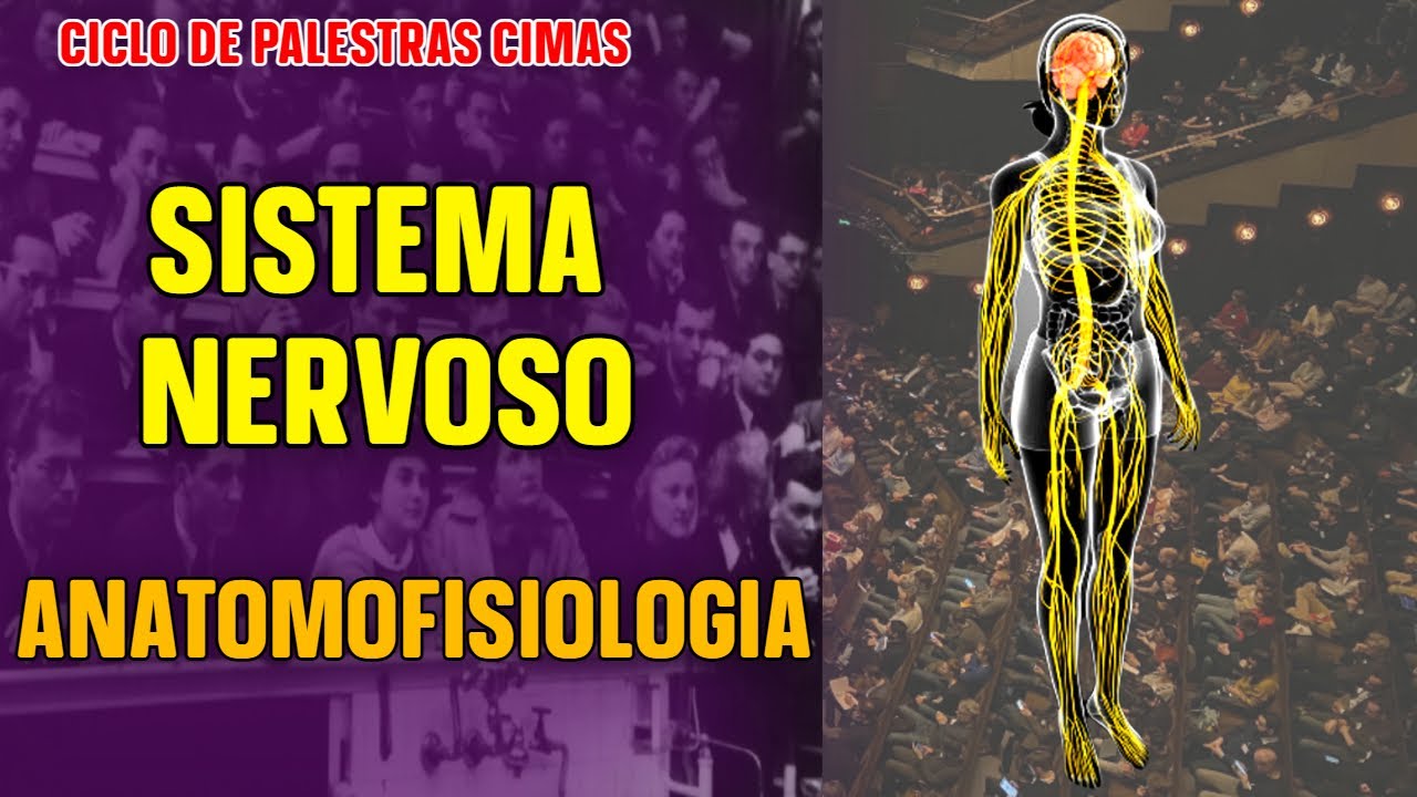 # AULA 26 - ANATOMOFISIOLOGIA DO SISTEMA NERVOSO  PARTE 01