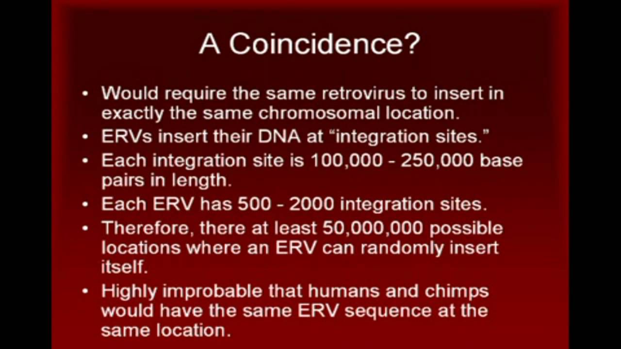 Human Evolution: Are We Descended From Viruses?