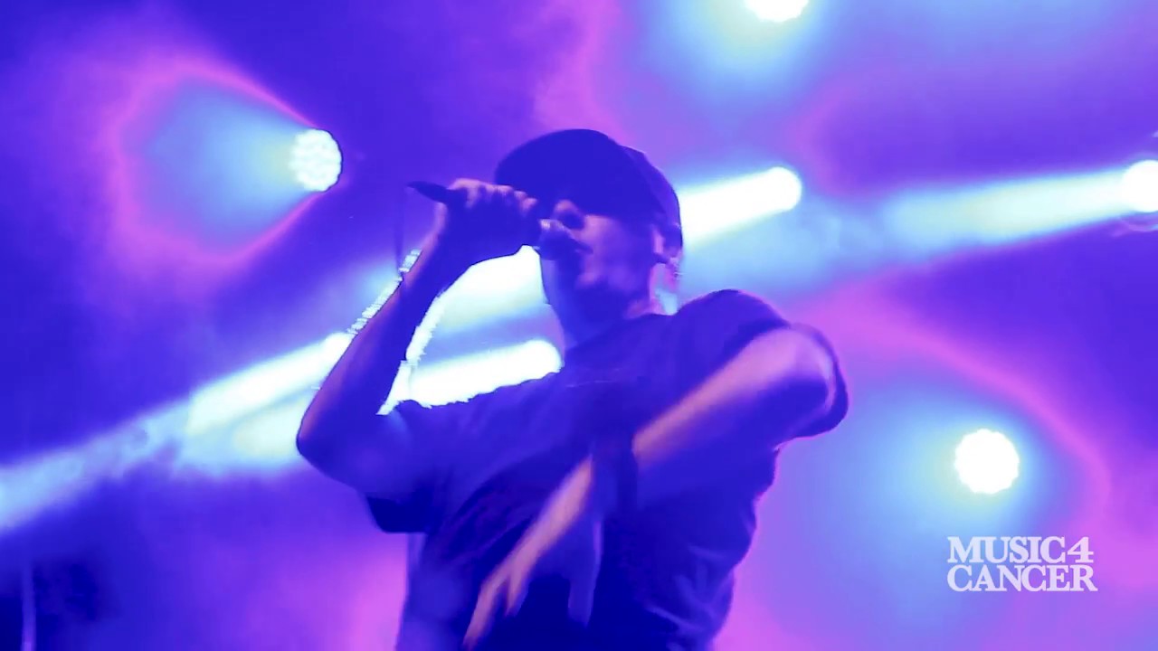 Pennywise Bro Hymn - Live at Music 4 Cancer Fest 2017