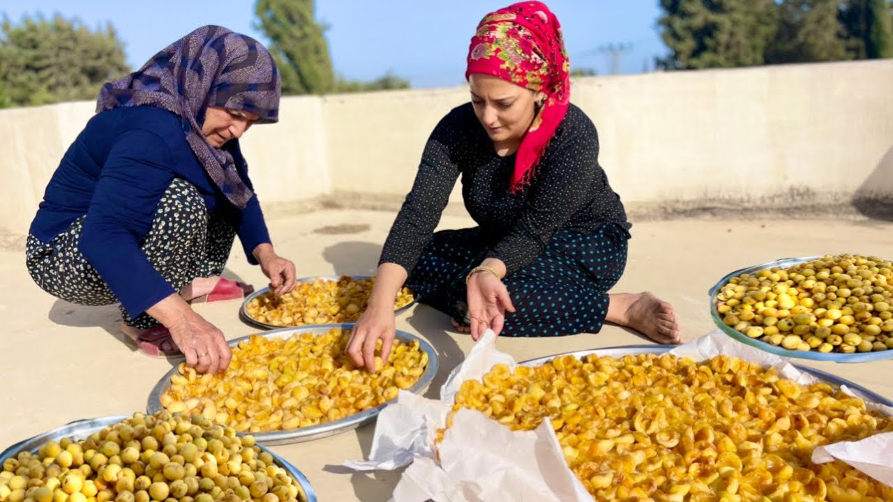 KÖY HAYATI DOĞAL İLK KAYISI HASADI | KURU KAYISI REÇELİ YAPIMI