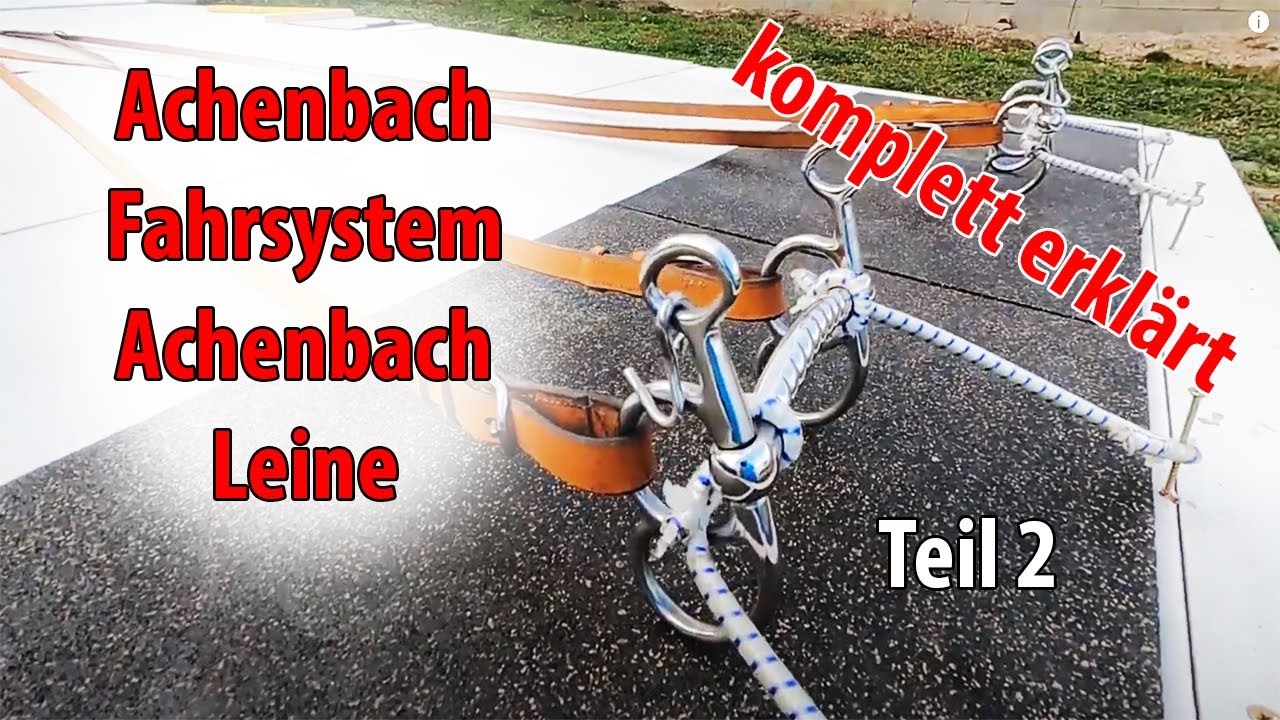 Teil 2 - Achenbach Fahrsystem - Achenbach Leine erklärt von Kutschenmario in Erfurt Marbach