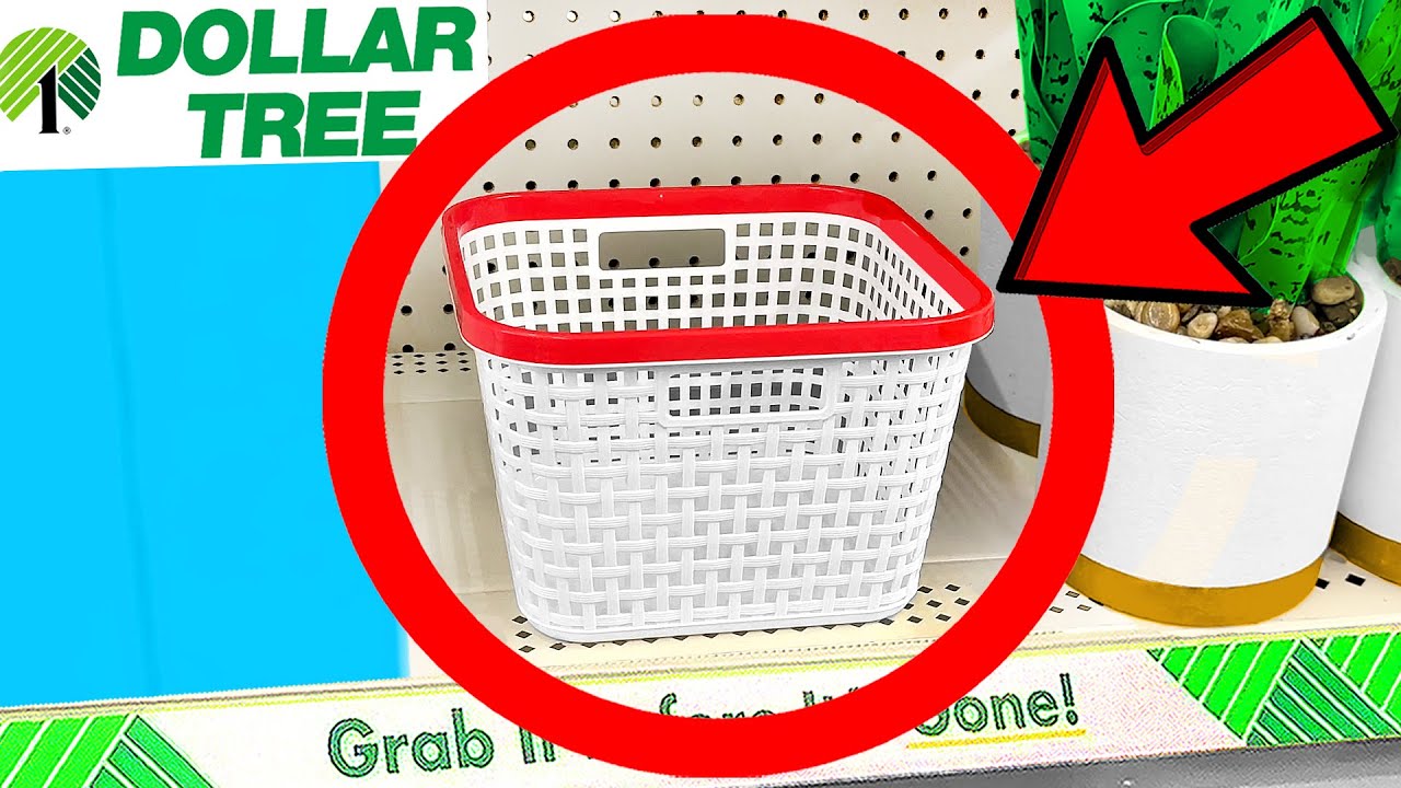 10 Things You SHOULD Be Buying at Dollar Tree in September 2023