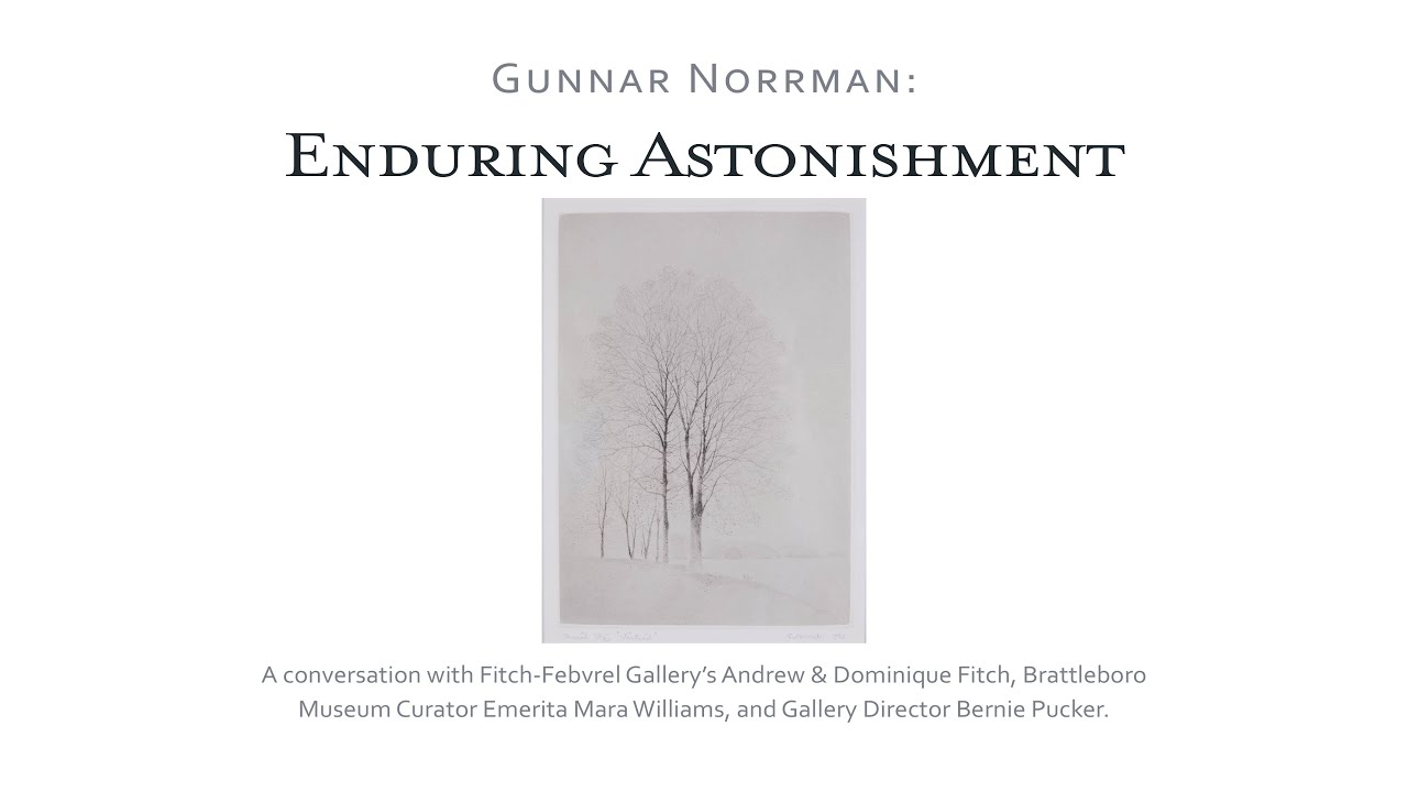 Gunnar Norrman: Enduring Astonishment WebinART