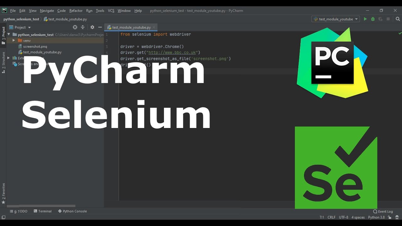 Python Selenium: Install  Chromedriver