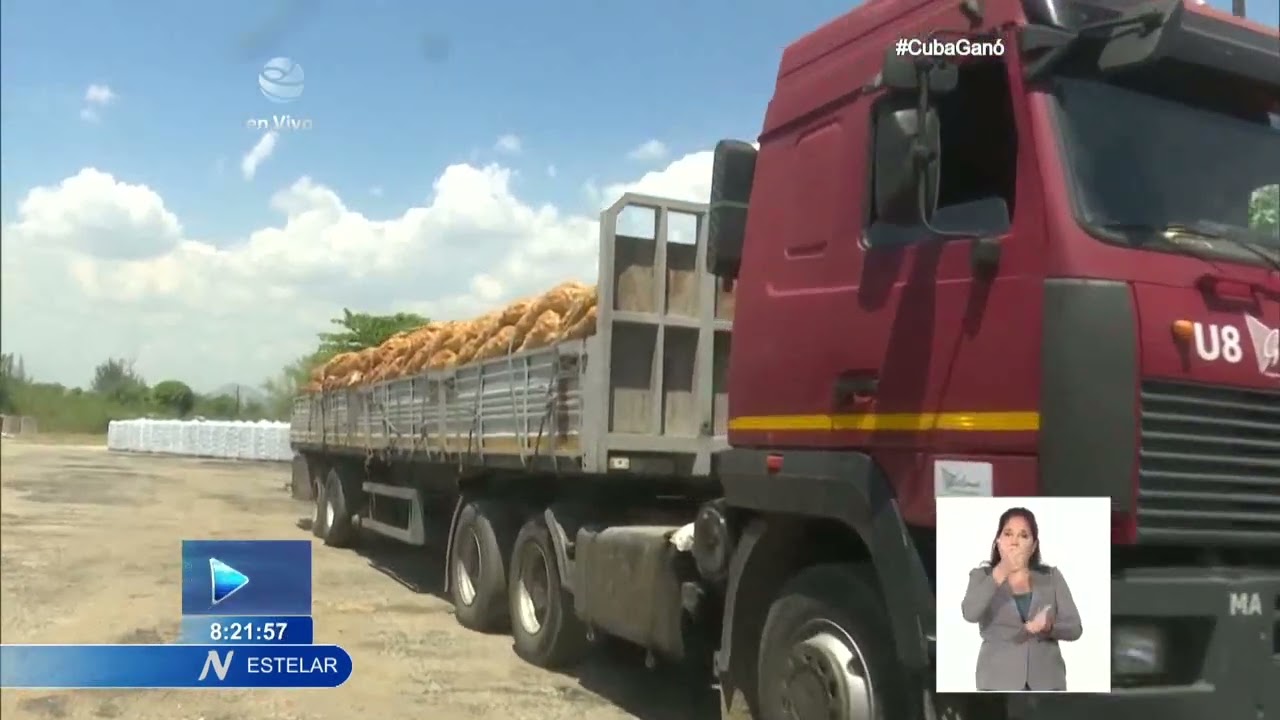 Aseguran en Santiago de Cuba embarques de papa cosechados en Polos productivos matanceros