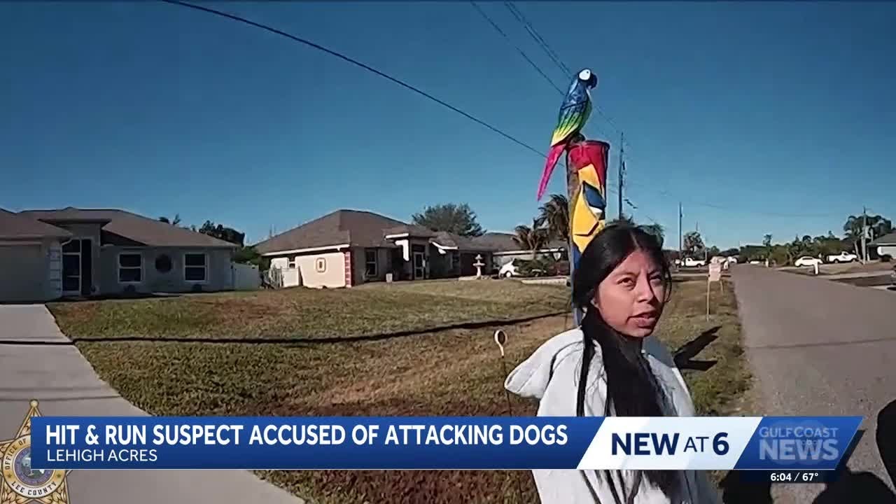 Woman accused of hit-and-run bathed in stranger’s pool before kicking dogs in Lehigh Acres