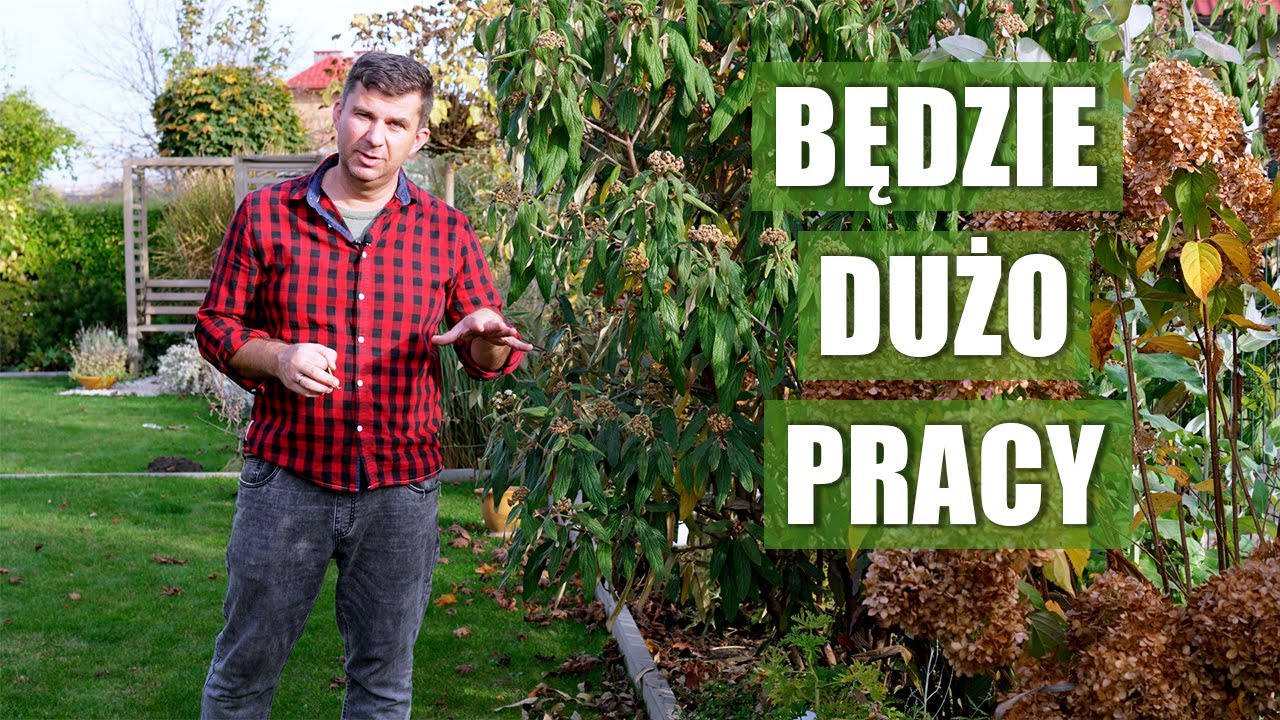 Planuję wielkie zmiany w ogrodzie. Nowe rabaty